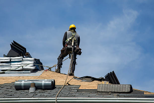 Professional Roofing technician working in Wolfe, WV